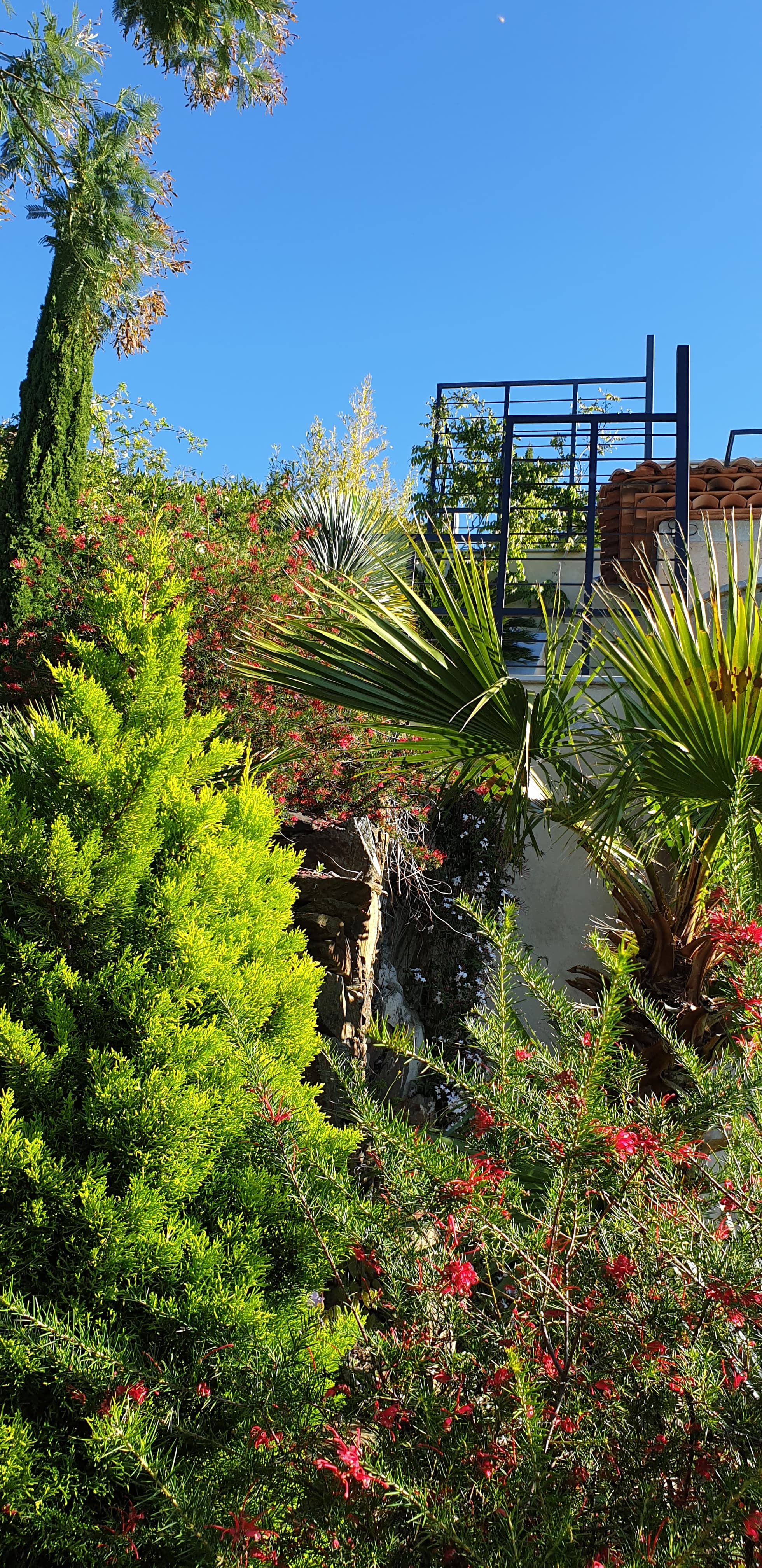 Deuxième vue du jardin de L'éminence